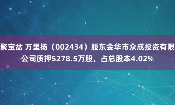 聚宝盆 万里扬（002434）股东金华市众成投资有限公司质押5278.5万股，占总股本4.02%