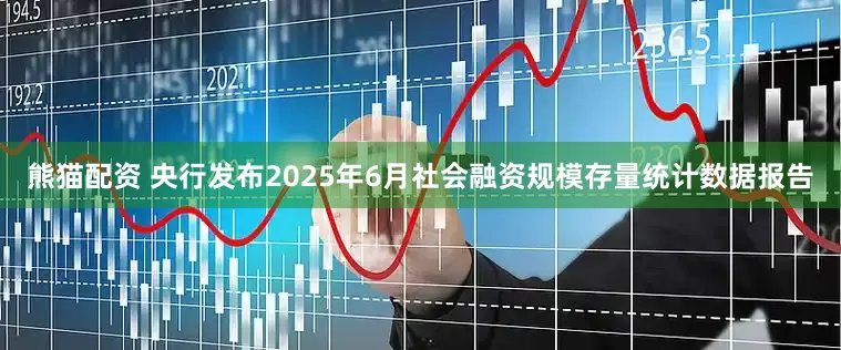 熊猫配资 央行发布2025年6月社会融资规模存量统计数据报告